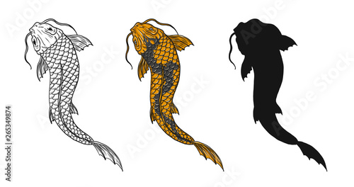 Koi fish vector tattoo by hand drawing.Beautiful fish on white background.Black and white graphics design art highly detailed in line art style.Carp fish for tattoo or wallpaper.