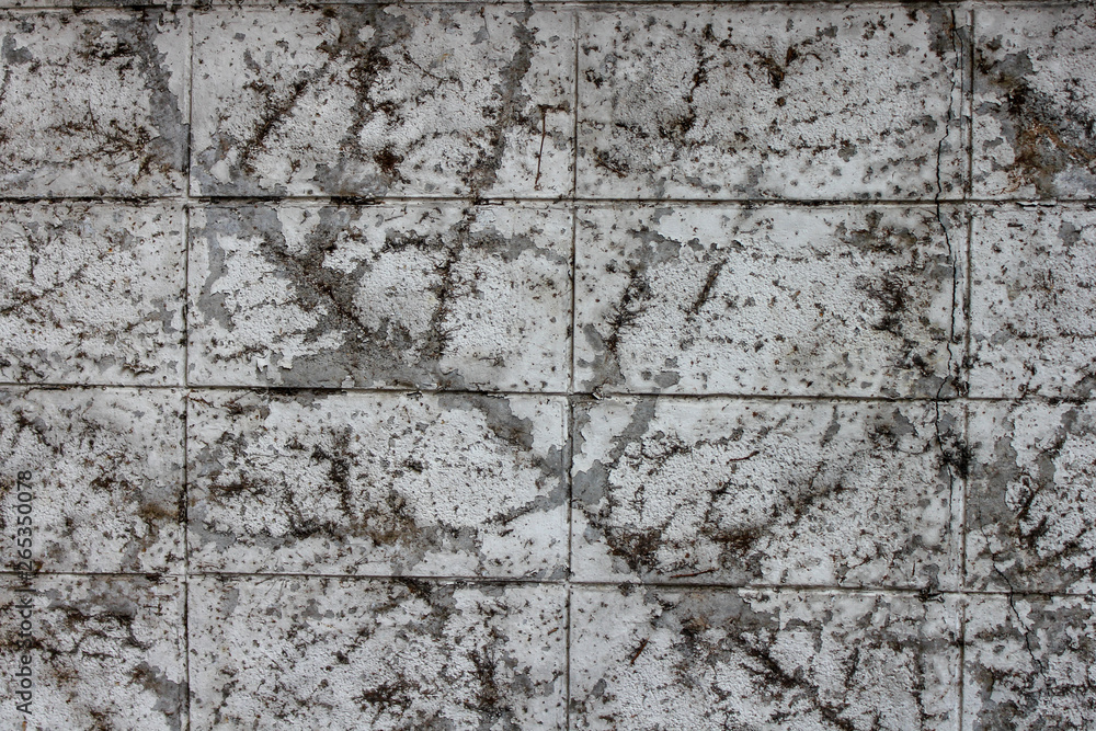 Obraz premium texture of old wall