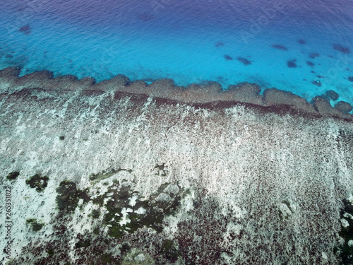 Beautiful Coral Reef in Fiji Ocean, Taken by DJI Marvic Drone