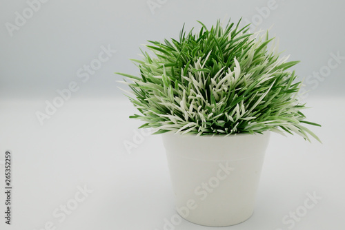 Fake small plants in plastic pot concept on the white background isolated