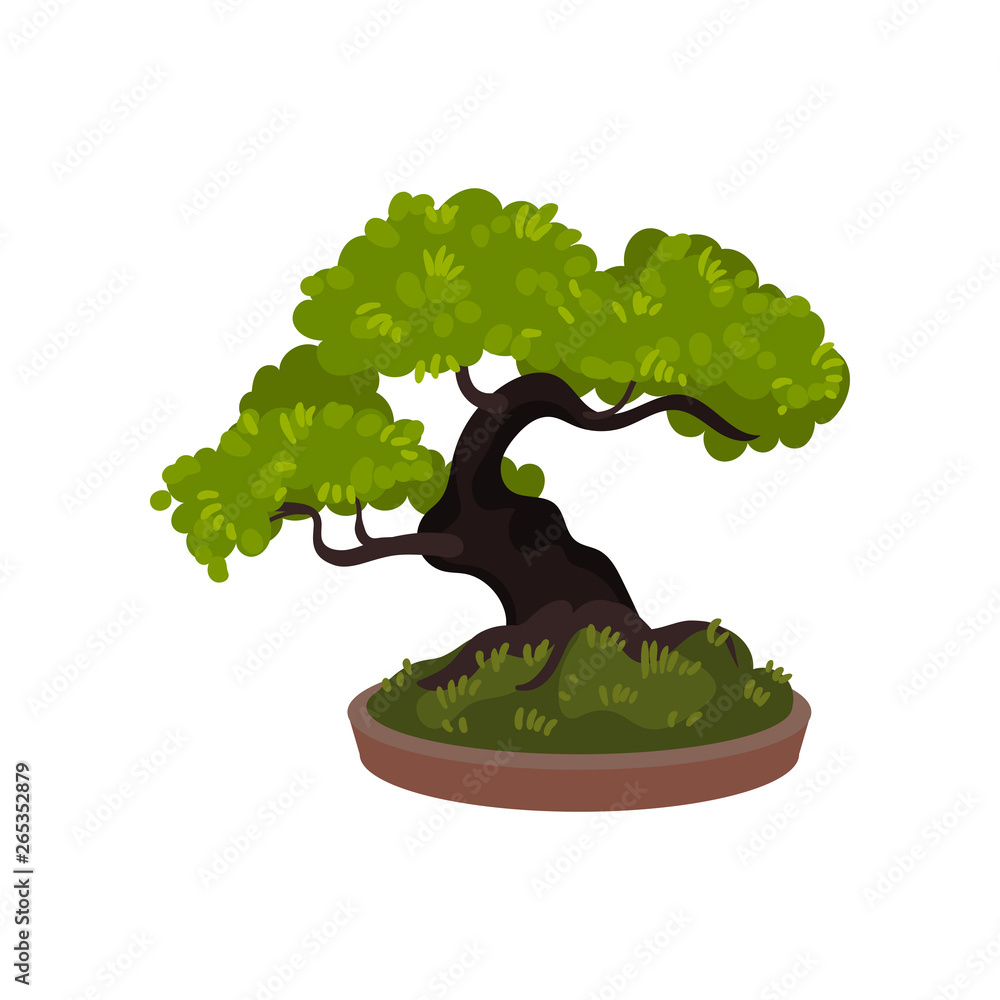 Bonsai tree in a pot. Vector illustration. Stock Vector Adobe Stock
