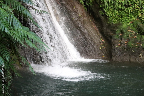 Cascade aux ecrevisses 