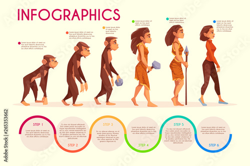 Womens evolution stages cartoon vector infographics. Monkey, female primate walking upright, prehistoric age hunter with stone weapon and modern woman in casual clothing illustration on time line