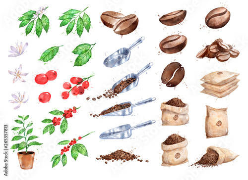 Watercolor illustration set of coffee growth items
