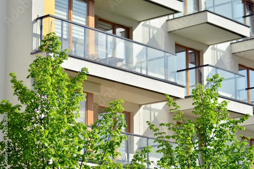 Ornamental shrubs and plants near a residential city house