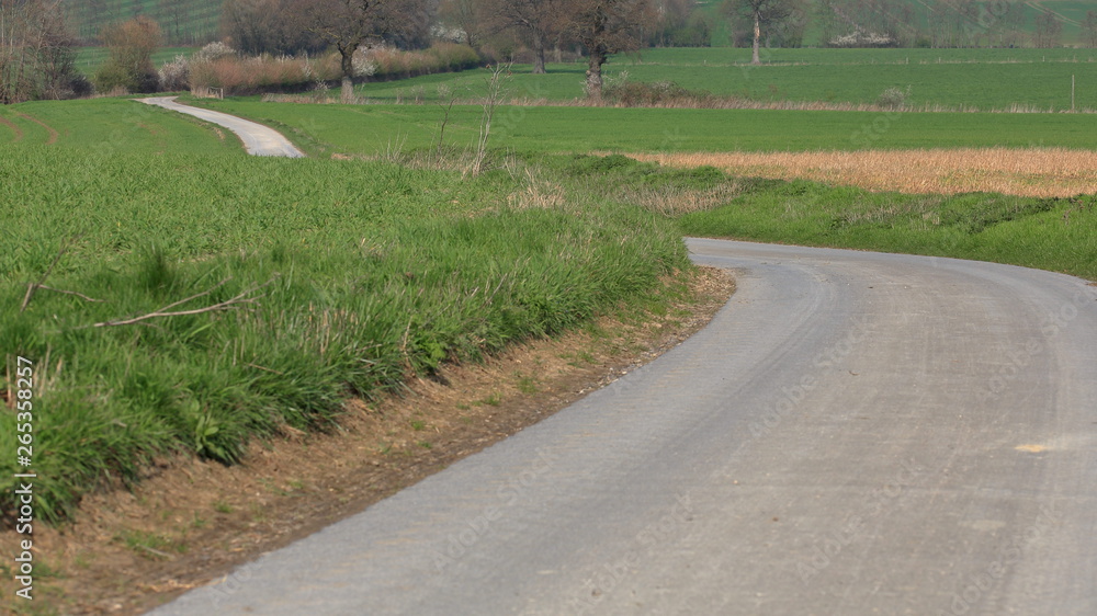 road in the countryside road in the countryside