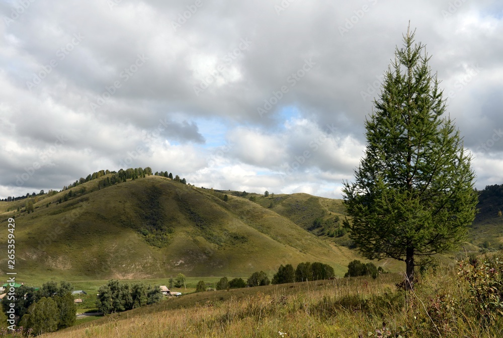 Obraz premium Mountain landscape in the vicinity of the taiga village Generalka Altai territory in Western Siberia