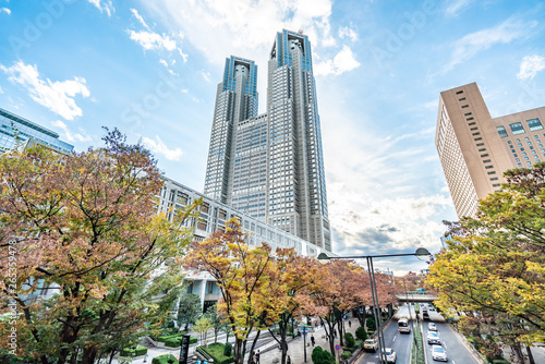 TOKYO, JAPAN - November 23, 2018: Metropolitan Government Building of Tokyo, Japan which houses the Tokyo Metropolitan Government.