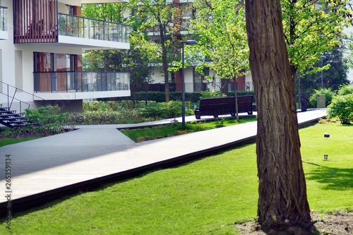 Ornamental shrubs and plants near a residential city house