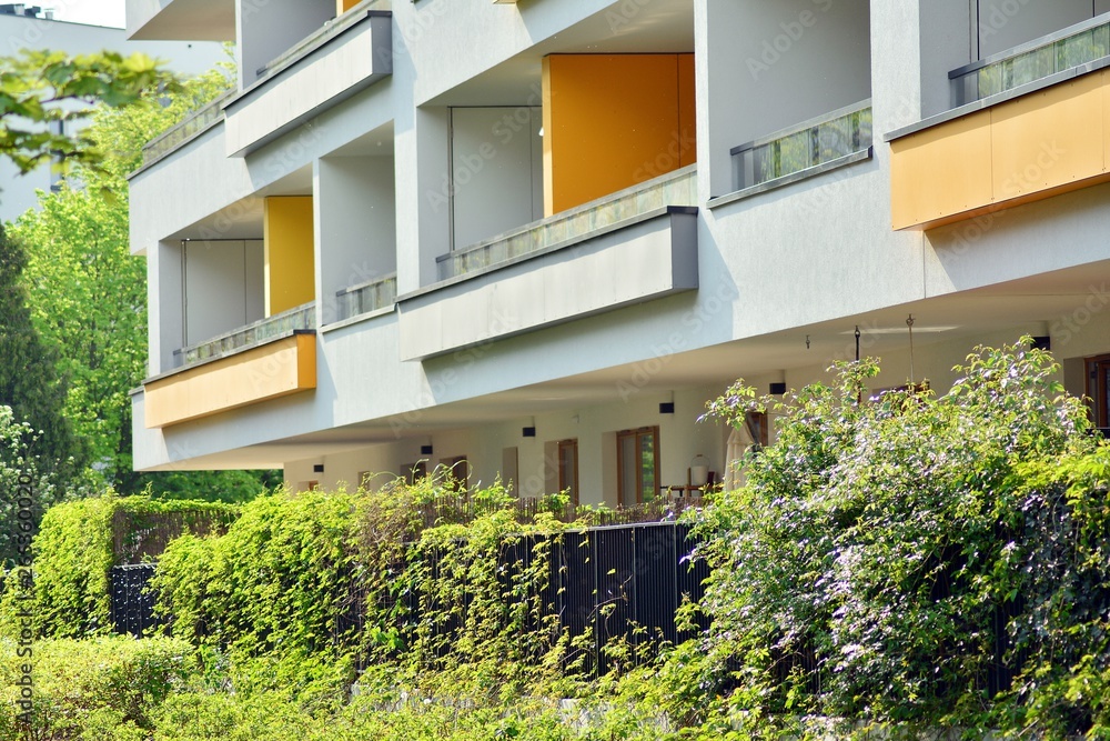 Fototapeta premium Ornamental shrubs and plants near a residential city house