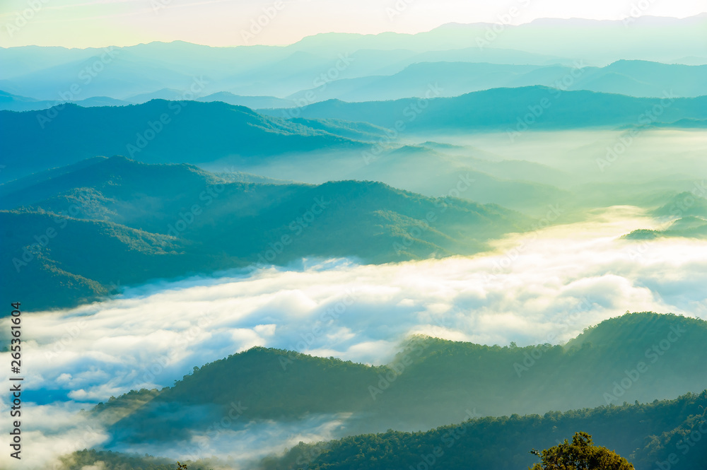 Fototapeta premium Mountain Wallpaper in Chiang Mai 