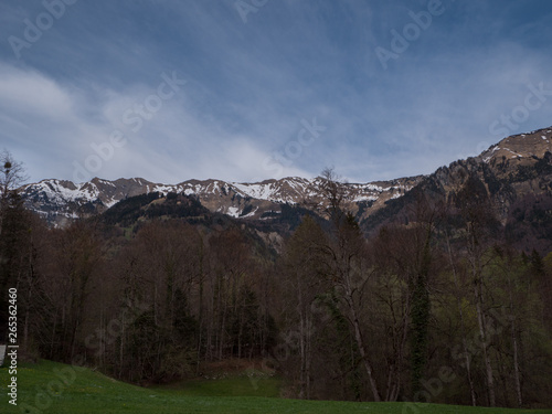 Beautiful Swiss Landscapes with Snow Alps green grass