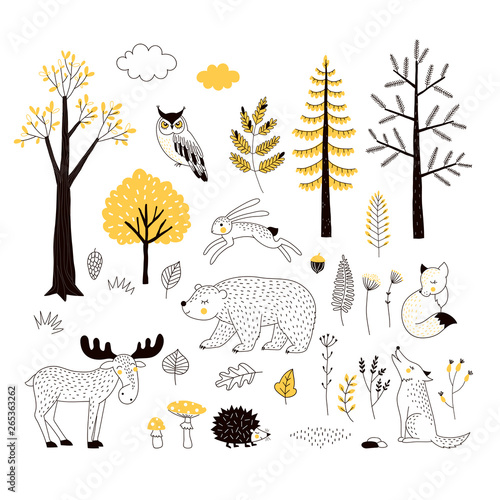 Autumn forest flat hand drawn illustrations set. Woody flora and fauna design elements. Woodland animals and trees clip-arts. Isolated scandinavian decorative nature wildlife creatures and plants.