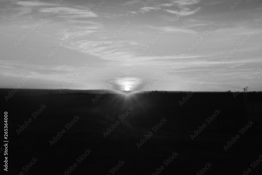 Fototapeta premium Beautiful sunset over the green field in the spring evening
