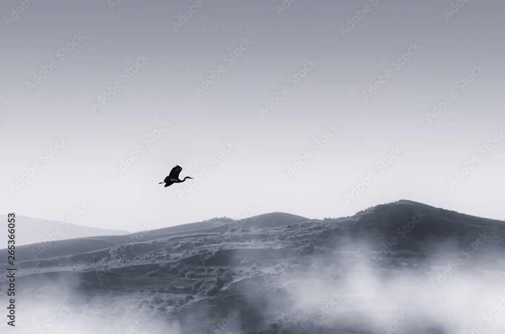 bird flying over minimal landscape with hills and mist, serene landscape bird flying over minimal landscape with hills and mist, serene landscape