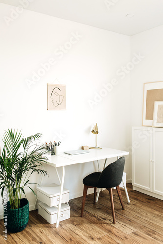 Modern minimal Scandinavian nordic interior design concept. Home office workspace with table, chair, palm.