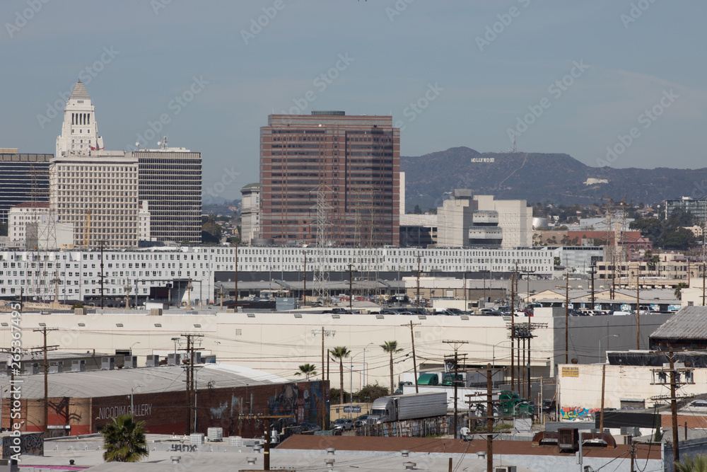 Fototapeta premium busy