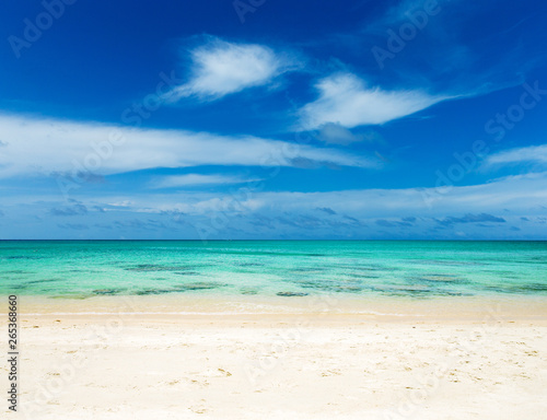 beach and tropical sea . nature background