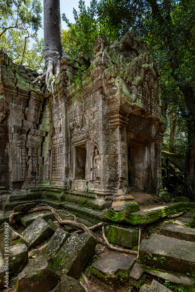 Overgrown ruins and beautiful sunlight at the Ta Prohm temple, Angkor Wat, Siem Reap, Cambodia