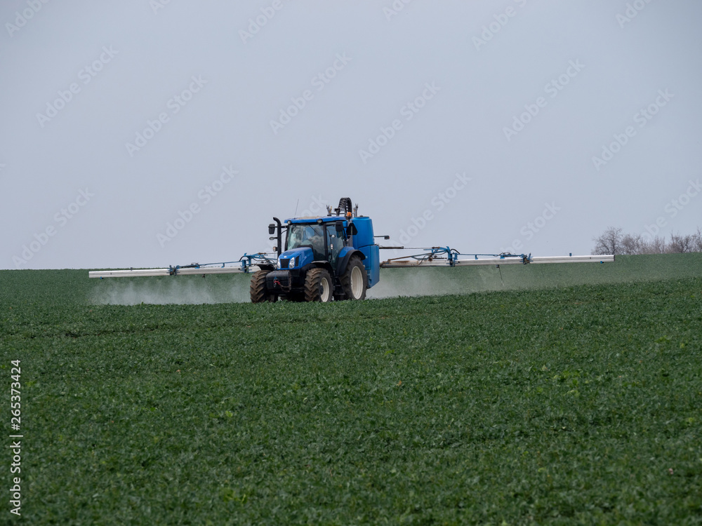 Fototapeta premium A blue tractor sprays pesticides on a green field. Blue tractor on field.