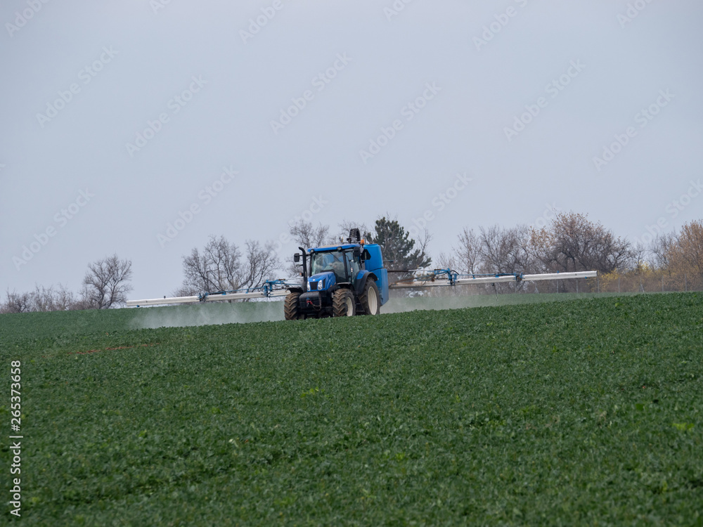 Fototapeta premium A blue tractor sprays pesticides on a green field. Blue tractor on field.