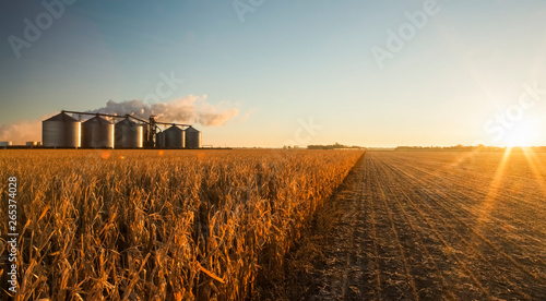 The Poet Biorefinery, An Ethanol Producer, And Corn Field, Near Groton; South Dakota, United States Of America