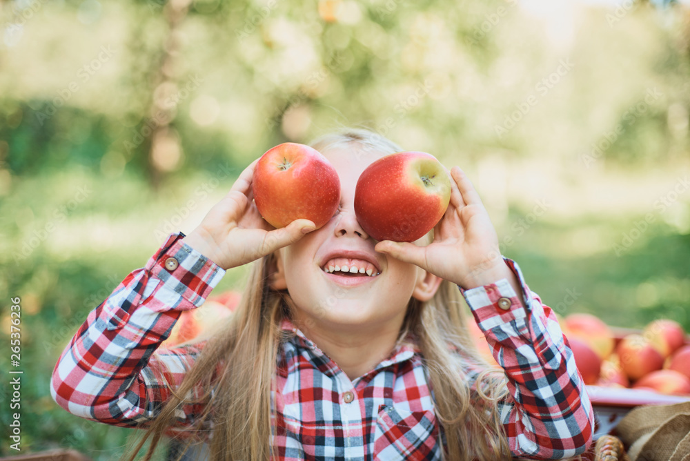 Girl with Apple in the Apple Orchard. Beautiful Girl Eating Organic Apple in the Orchard. Harvest Concept. Garden, Toddler eating fruits at fall harvest. - obrazy, fototapety, plakaty 