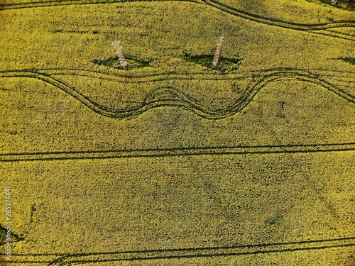 Drone View of Yellow Rape Seed Fields