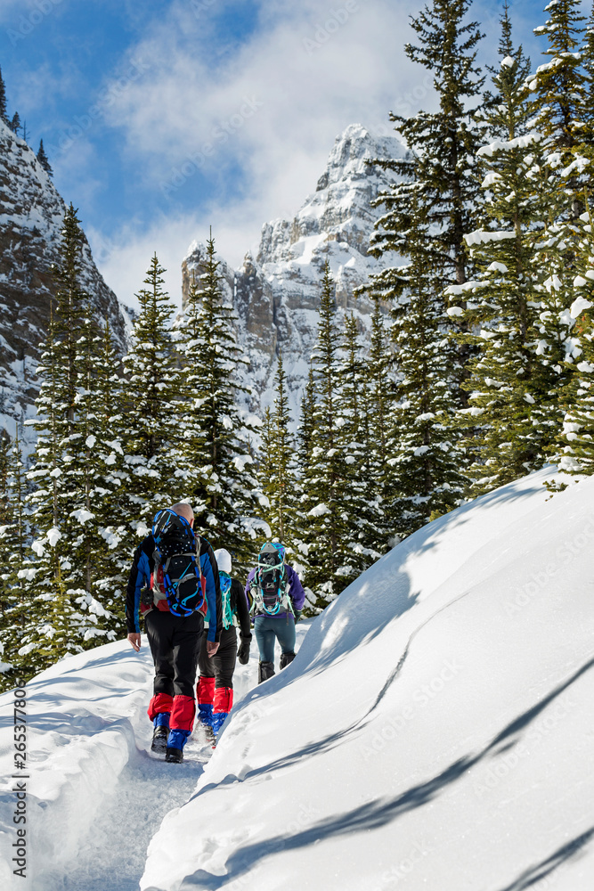 Male and two female snowshoers along a snow-covered trail with snow-covered mountain cliff in the background, Banff National Park; Lake Louise, Alberta, Canada Male and two female snowshoers along a snow-covered trail with snow-covered mountain cliff in the background, Banff National Park; Lake Louise, Alberta, Canada