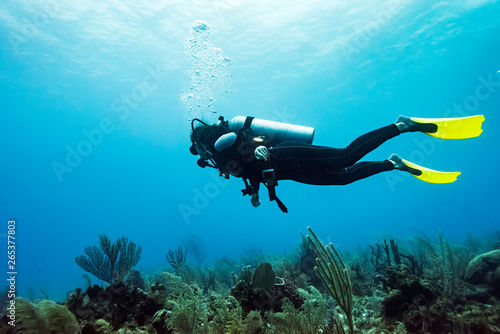 Scuba diver at Joe's Wall Dive Site, Belize Barrier Reef; Belize