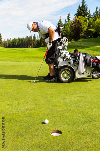 A physically disabled golfer putting a ball on a golf green and using a specialized golf assistance motorized hydraulic wheelchair; Edmonton, Alberta, Canada