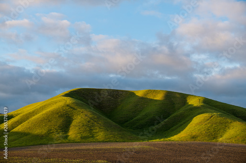 Beautiful grassy green hill and freshly plowed field at sunset in spring near Paso Robles, California