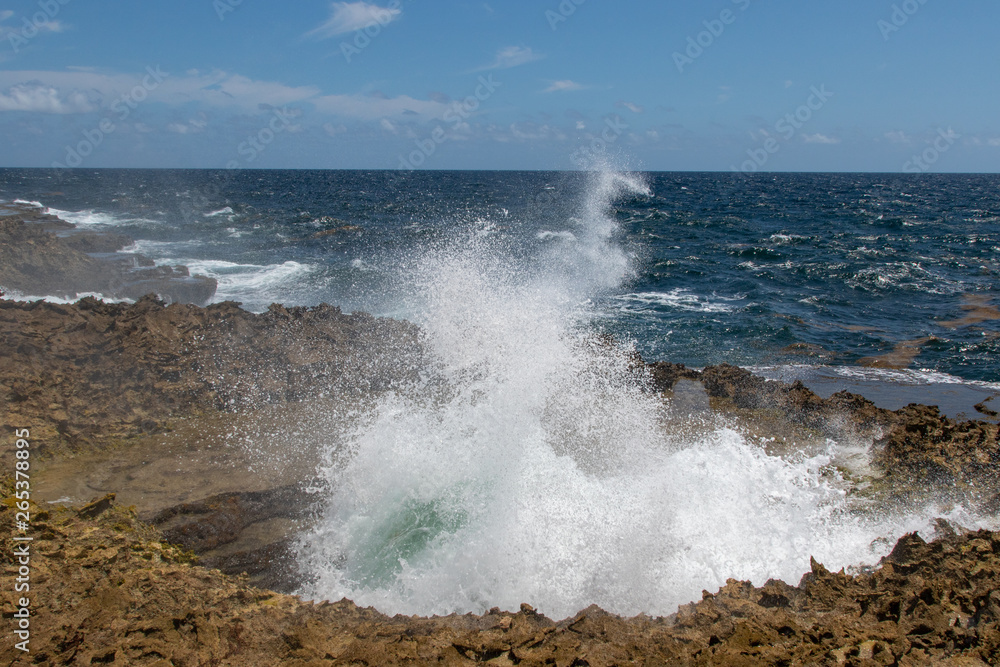 Sea water erupting from the blow hole Sea water erupting from the blow hole