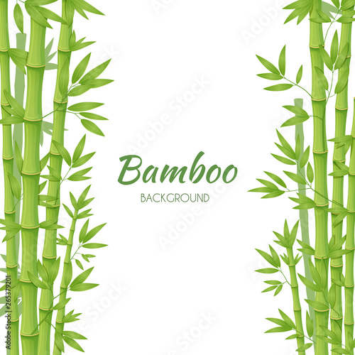 Green bamboo stems with green leaves on a white background. Vector illustration.