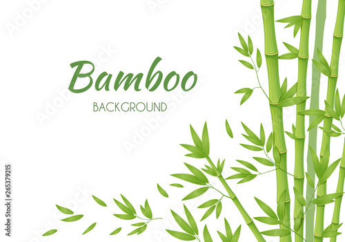 Green bamboo stems with green leaves on a white background. Vector illustration. © Tatiana Zhzhenova