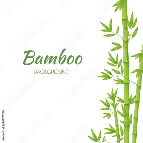 Green bamboo stems with green leaves on a white background. Vector illustration.