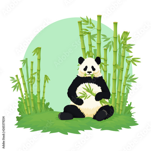 Giant panda sitting and eating with bamboo forest in the background. Black and white bear holding and chewing bamboo branches and leaves. Endangered species. Vector illustration.