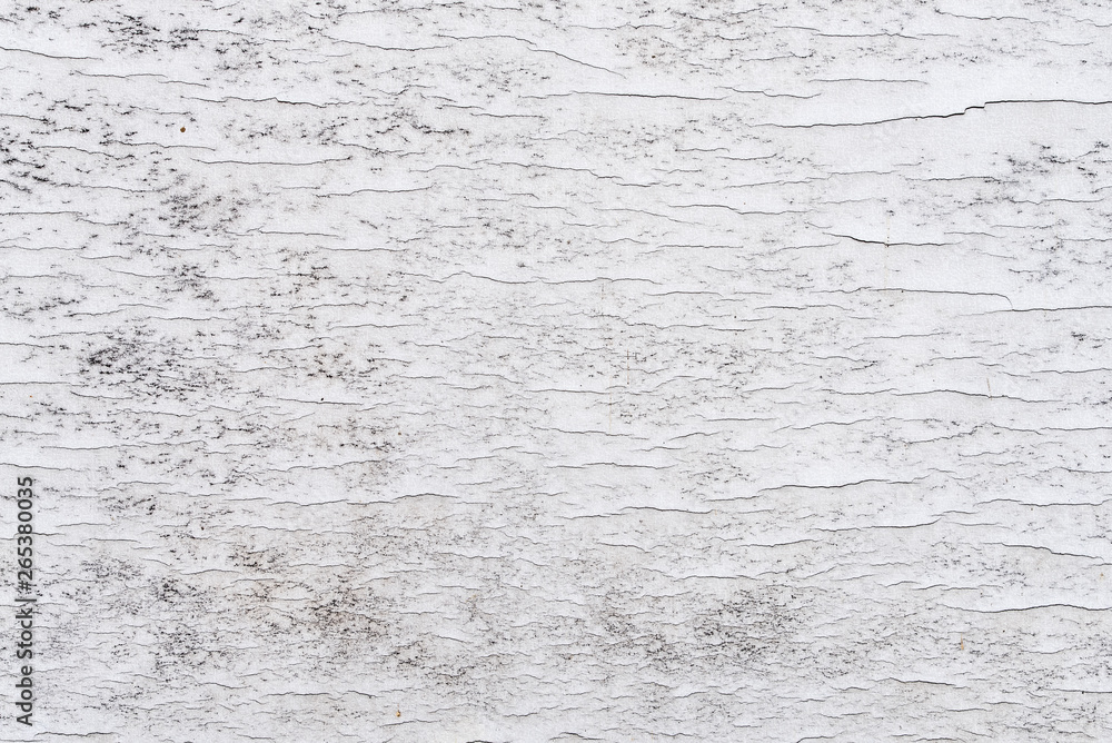 Sample of the cracked paint on wooden surface. Shabby, dirty, and cracked paint. Background and textures, white color Sample of the cracked paint on wooden surface. Shabby, dirty, and cracked paint. Background and textures, white color