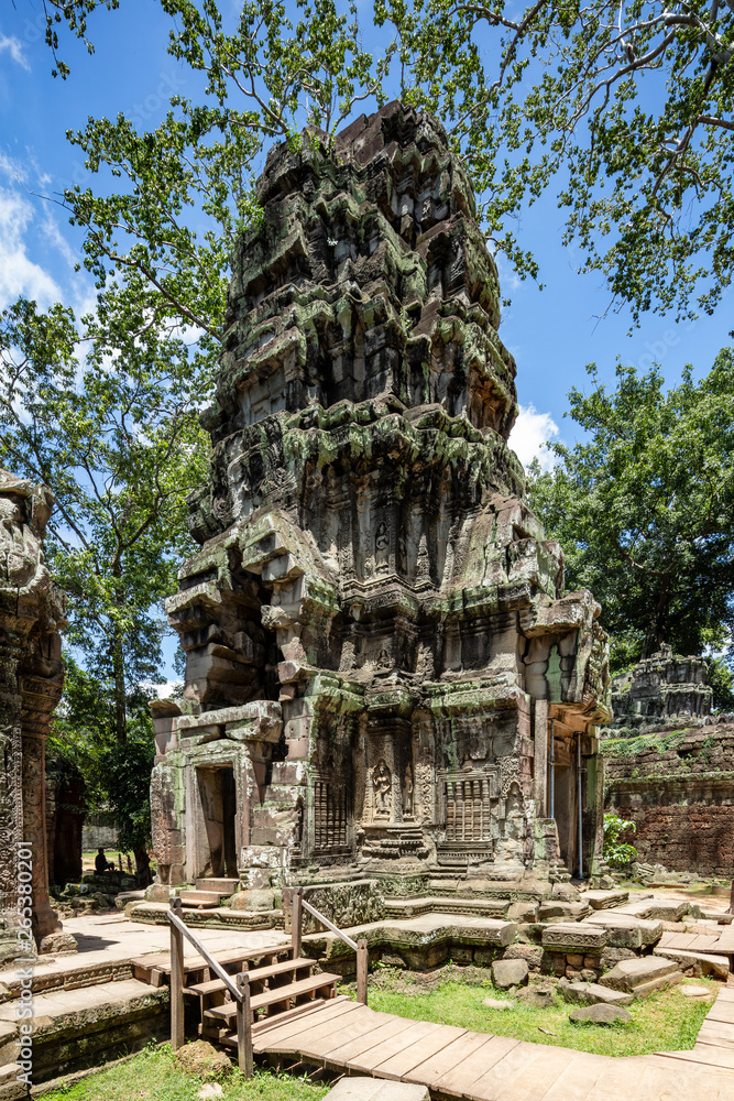 Huge strangler fig trees growwing inside the beautiful Ta Prohm temple, Siem Reap, Cambodia