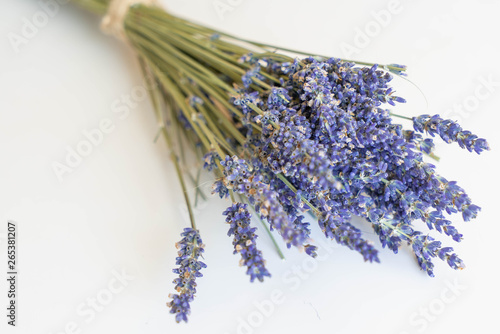 Dry color grass flower for interior decoration. Studio shot and isolated on white background. Bunch of Lavender flowers isolate on a white background