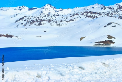 Paso Pehuenche