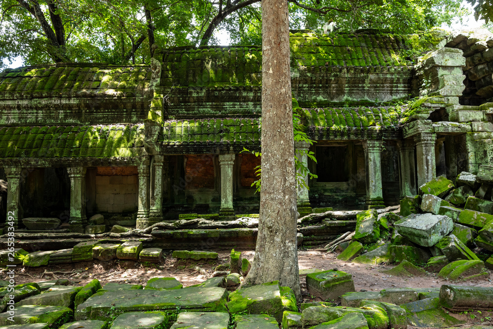 View of the stunning architecture at Ta Prohm temple in Siem Reap, Cambodia View of the stunning architecture at Ta Prohm temple in Siem Reap, Cambodia