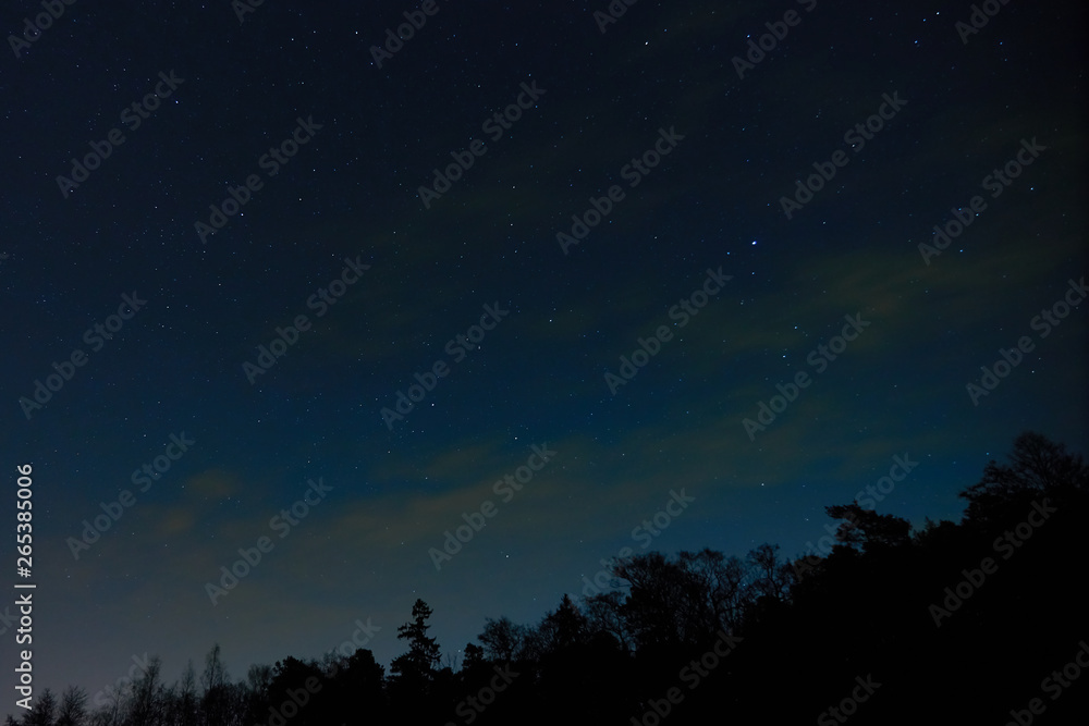 The night sky with stars and clouds with silhouettes of forest. Natural background. 