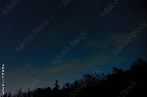 The night sky with stars and clouds with silhouettes of forest. Natural background. 