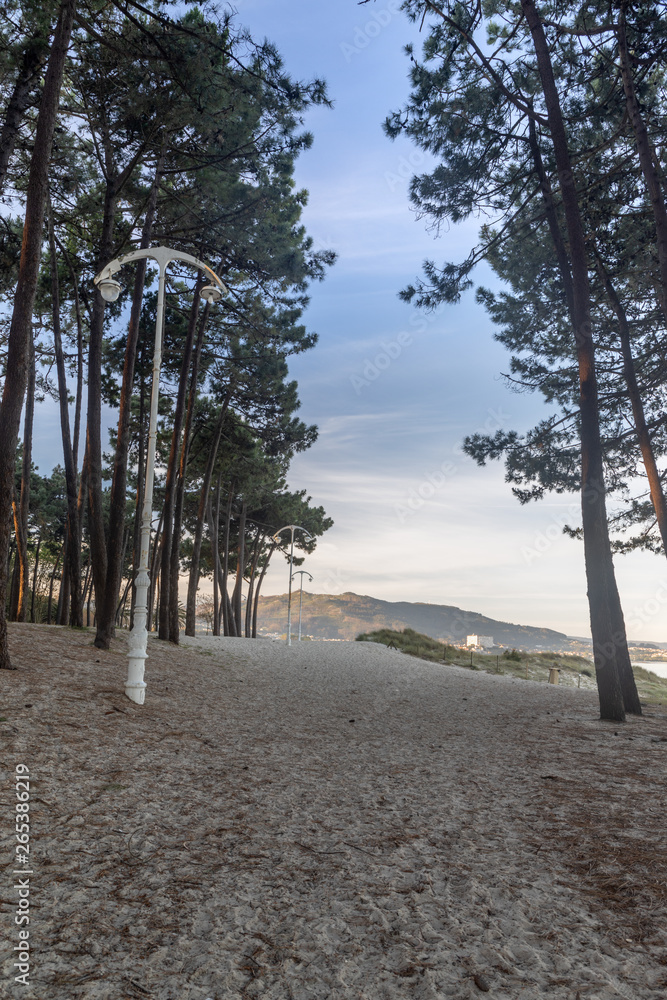 Obraz premium Samil Beach