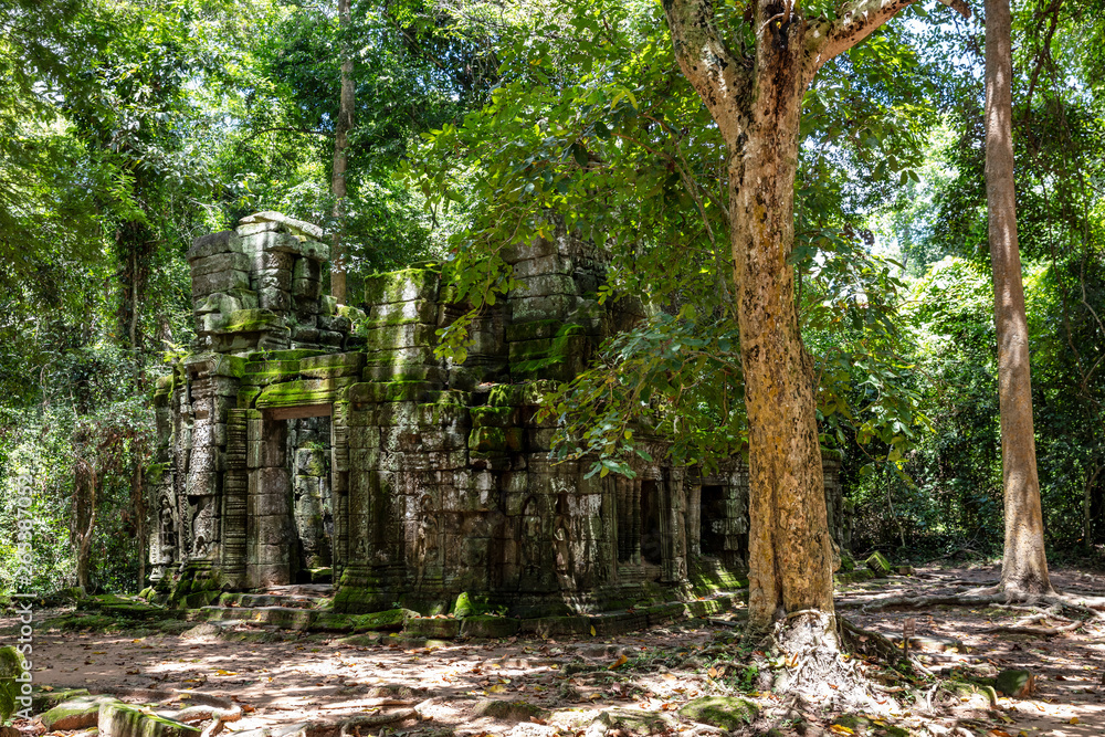 Ruins of the Ta Prohm temple complex visible behind the stunning forest canopy at Siem Reap, Cambodia Ruins of the Ta Prohm temple complex visible behind the stunning forest canopy at Siem Reap, Cambodia