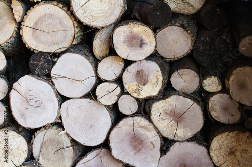 Stacked firewood chopped and placed in a pile  sawed log pieces ends showing