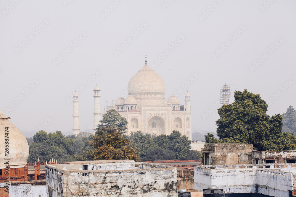 View of the Taj Mahal, Agra, Uttar Pradesh, India