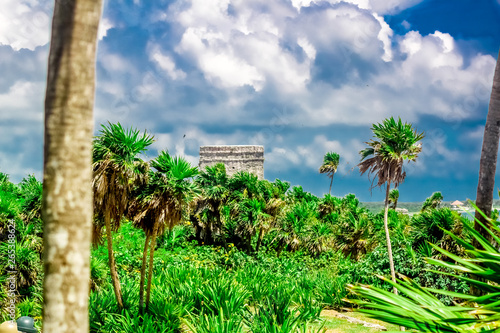 Ruines de Tulums dans la jungle