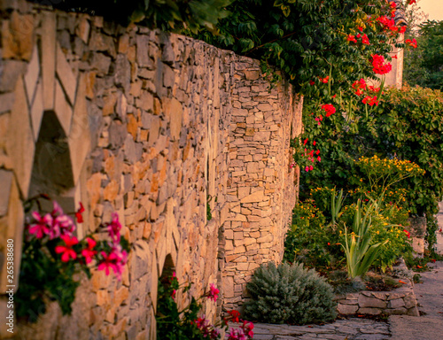 Mur de village du Sud